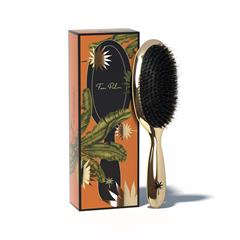 Fan Palm Hollywood Medium