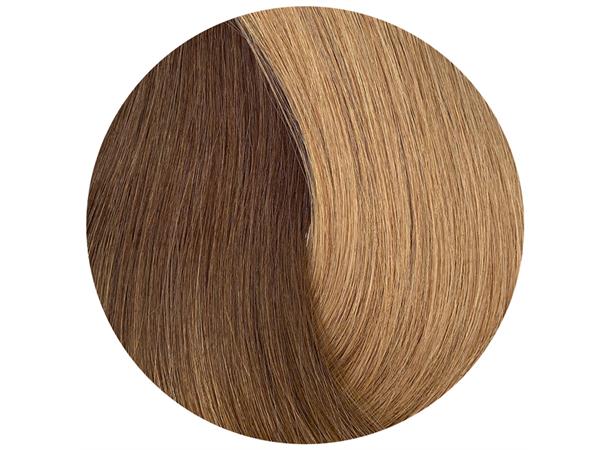 Halo Box Set 3i1 50cm - 6VG-8VG Ombre COOL BROWN