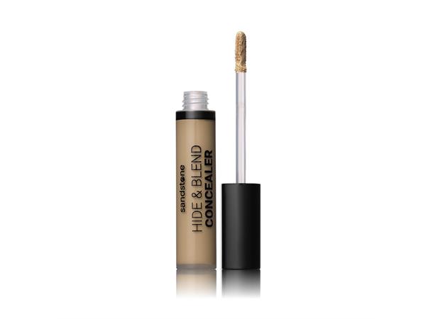 Sandstone Hide & Blend Concealer C6