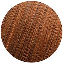 Halo Box Set 3i1 50cm - 6G CHESTNUT