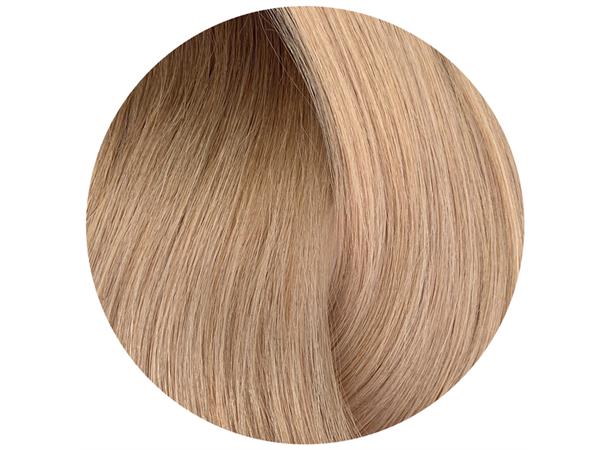 Halo Box Set 3i1 50cm - 8B-11VA Ombre COOL SOFT BEIGE 
