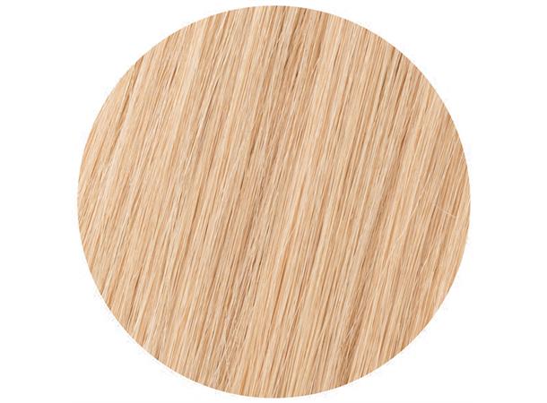 7 Deler Box - 50cm - 9NG BLONDE 
