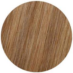 Halo Box Set 3i1 50cm - 7GV-9N H/Light HONEY GINGER