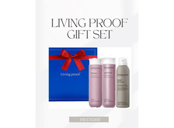 LP International Restore Box 